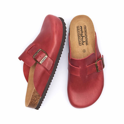TULIPA WAXY DARK RED