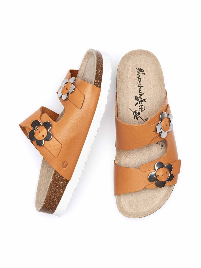 Orange FLOX - FLOX APRICOT ORANGE