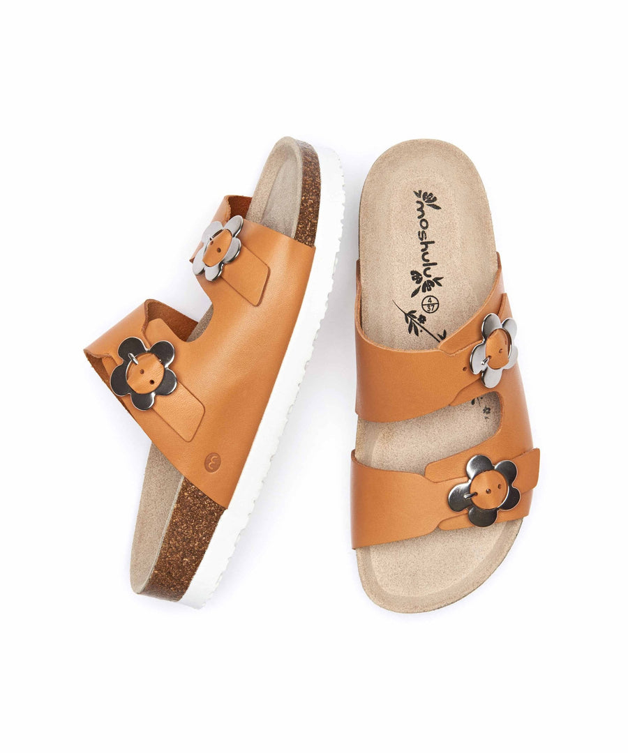 FLOX APRICOT ORANGE