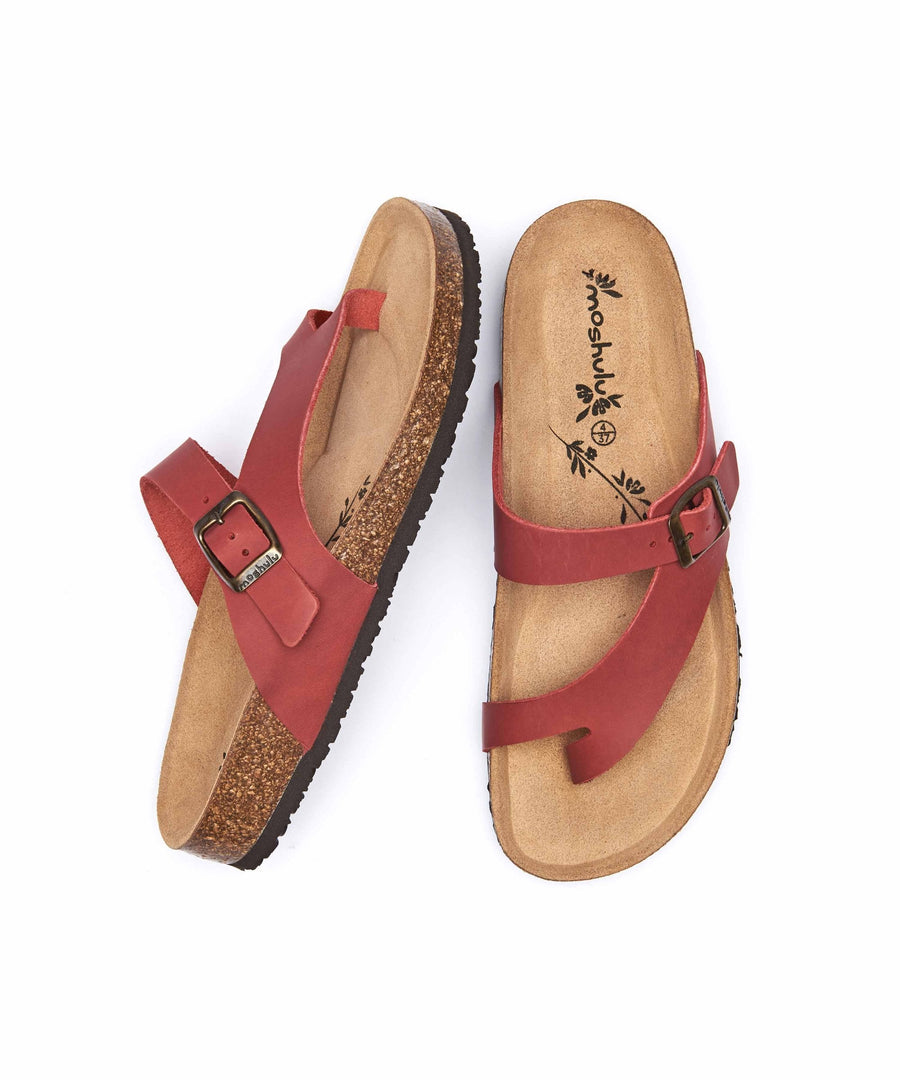 WILMA WAXY RED