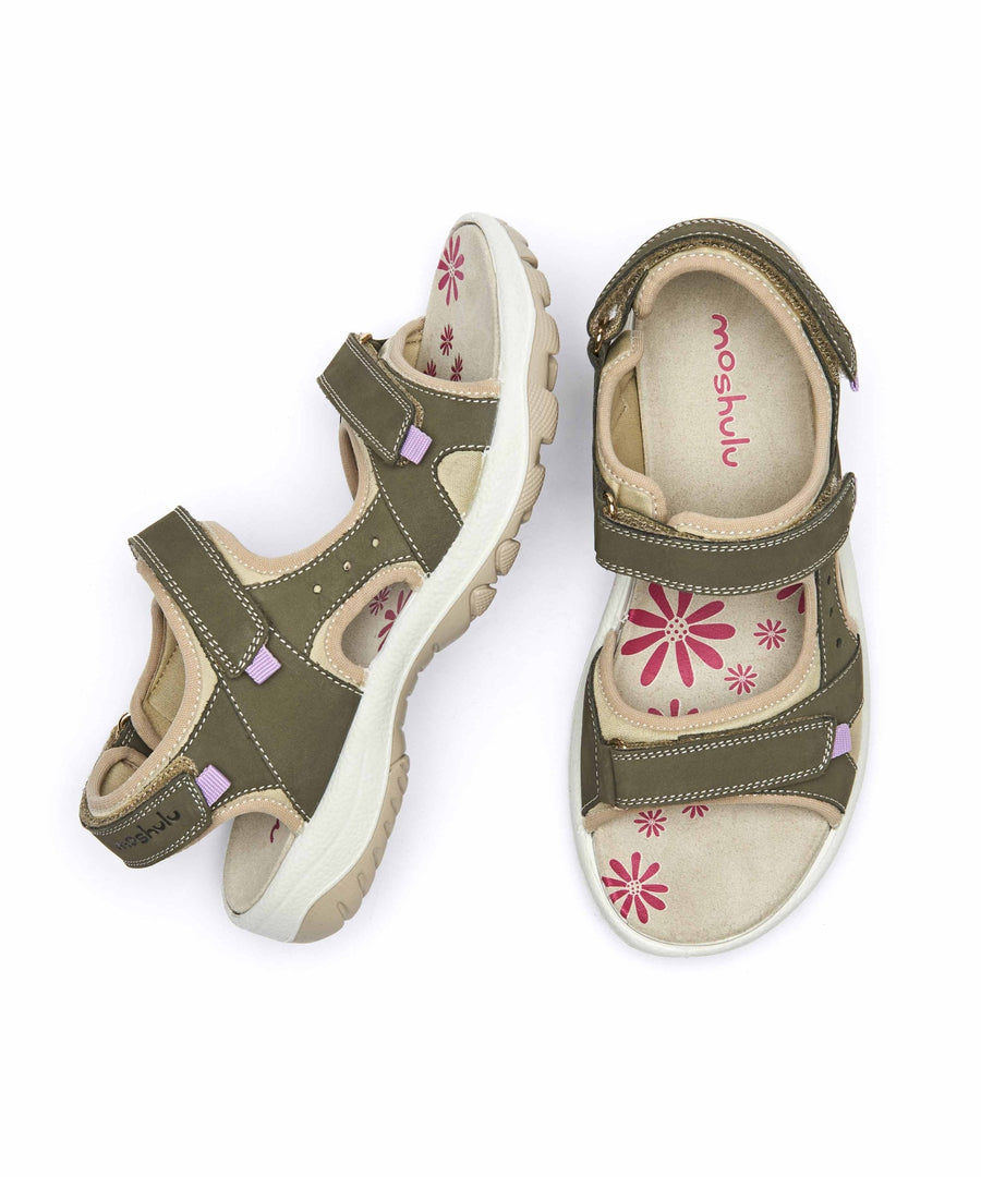 AIRE WILD OLIVE