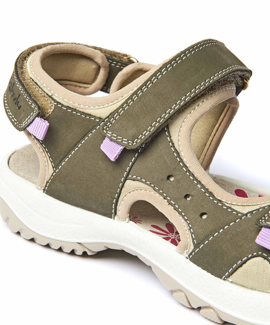 AIRE WILD OLIVE