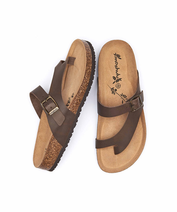 WILMA WAXY CHOCOLATE