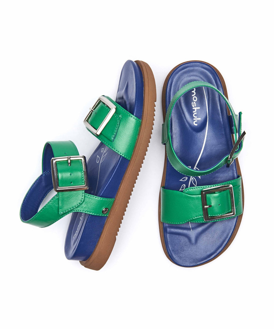 NEWARK VIBRANT GREEN/ROYAL BLUE