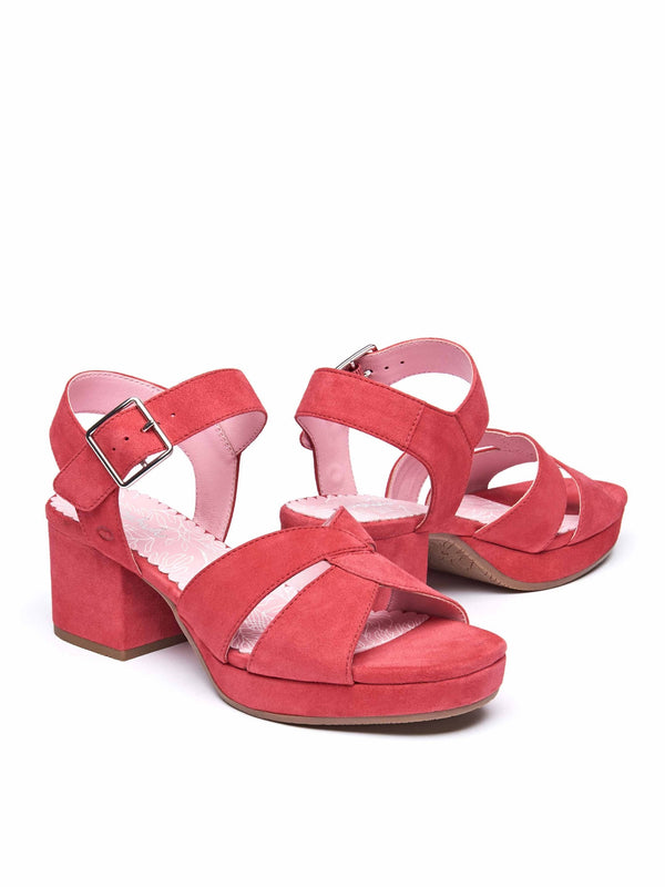 ARANIKO PARADISE PINK