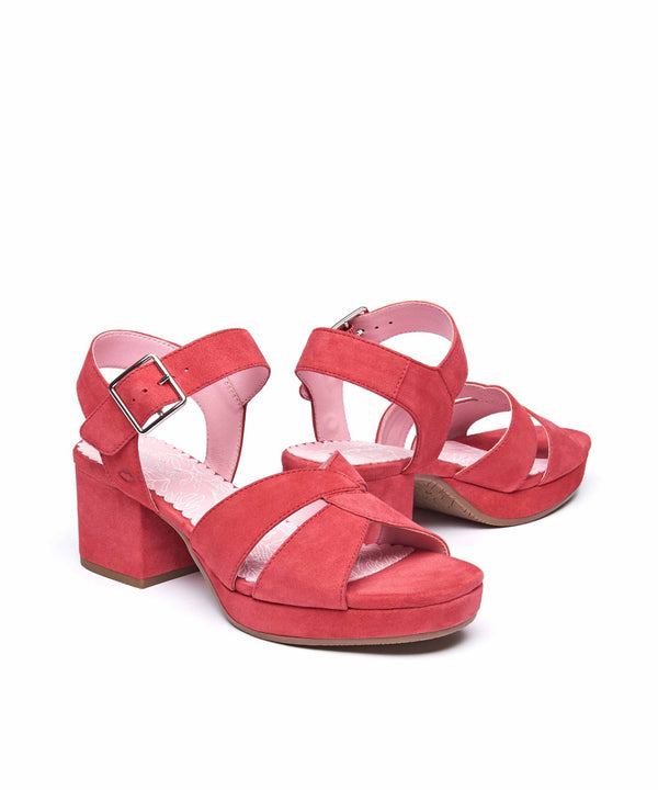 ARANIKO PARADISE PINK