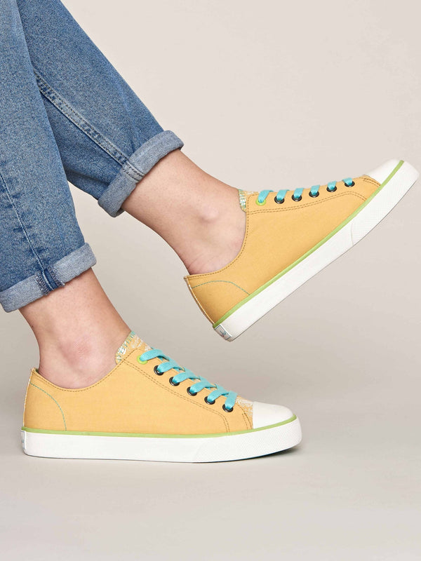 MARRAKECH 4 PRIMROSE YELLOW