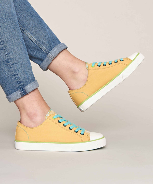 MARRAKECH 4 PRIMROSE YELLOW