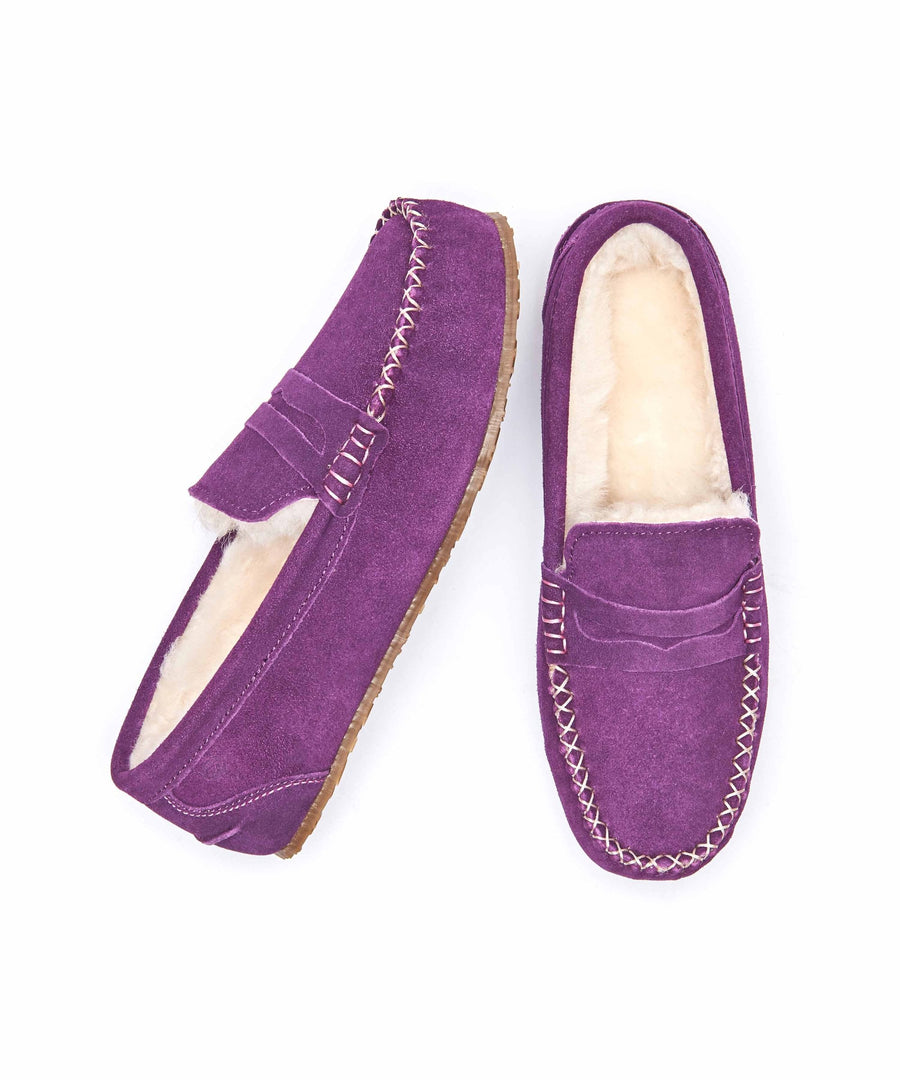 JOCUND PLUM