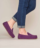 JOCUND PLUM