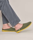 CONIFER OLIVE