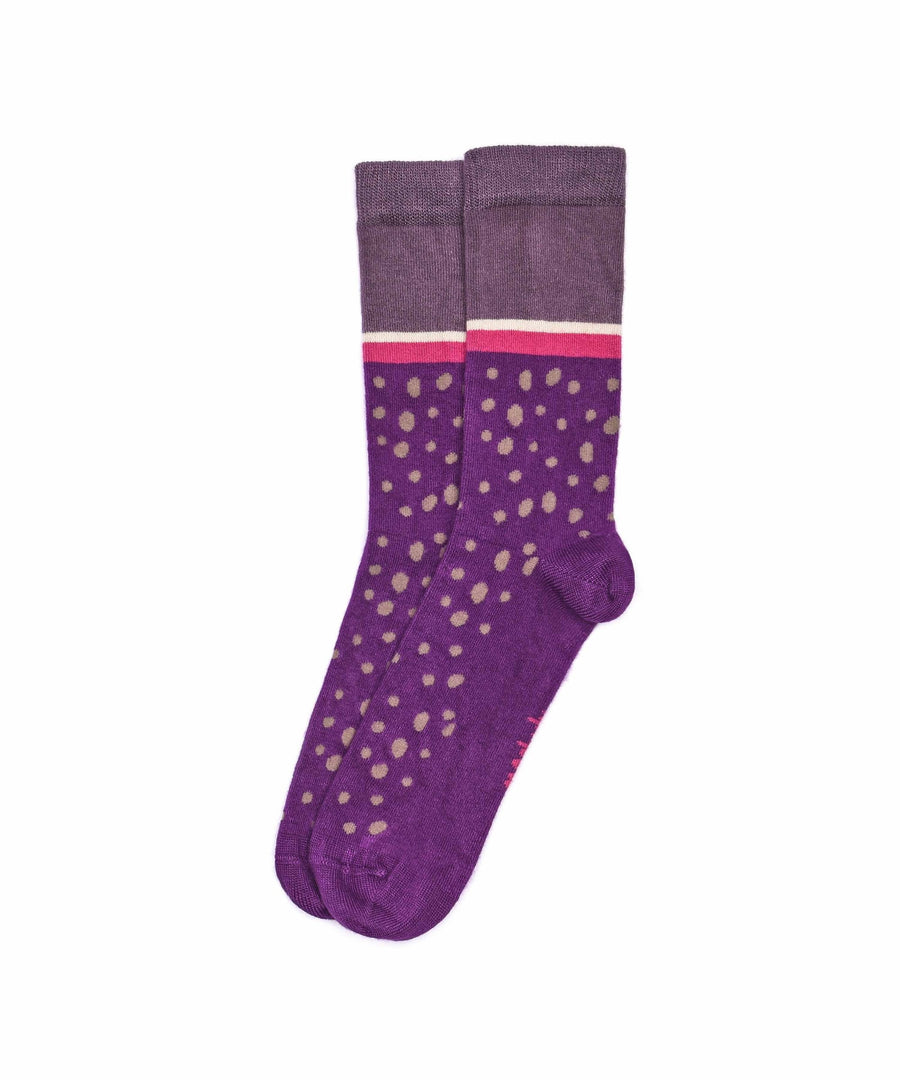 PLECO PLUM SPOT