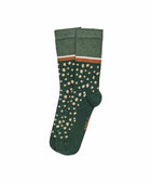 PLECO PINE GREEN SPOT