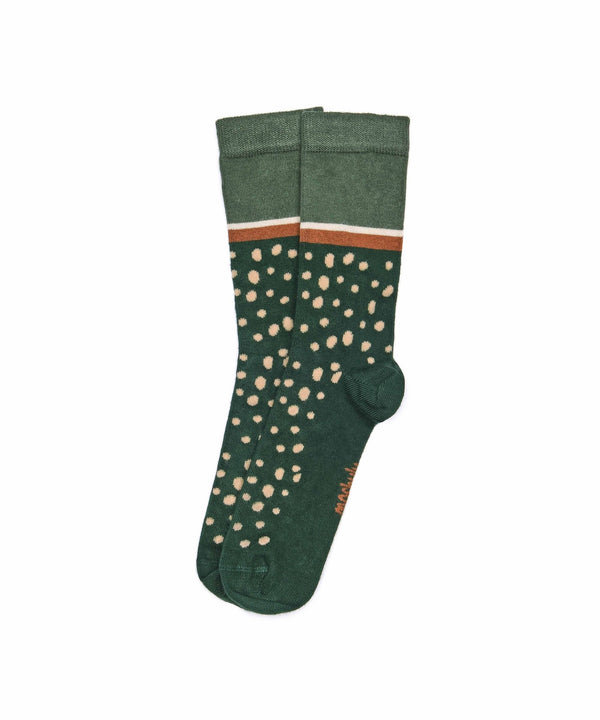 PLECO PINE GREEN SPOT