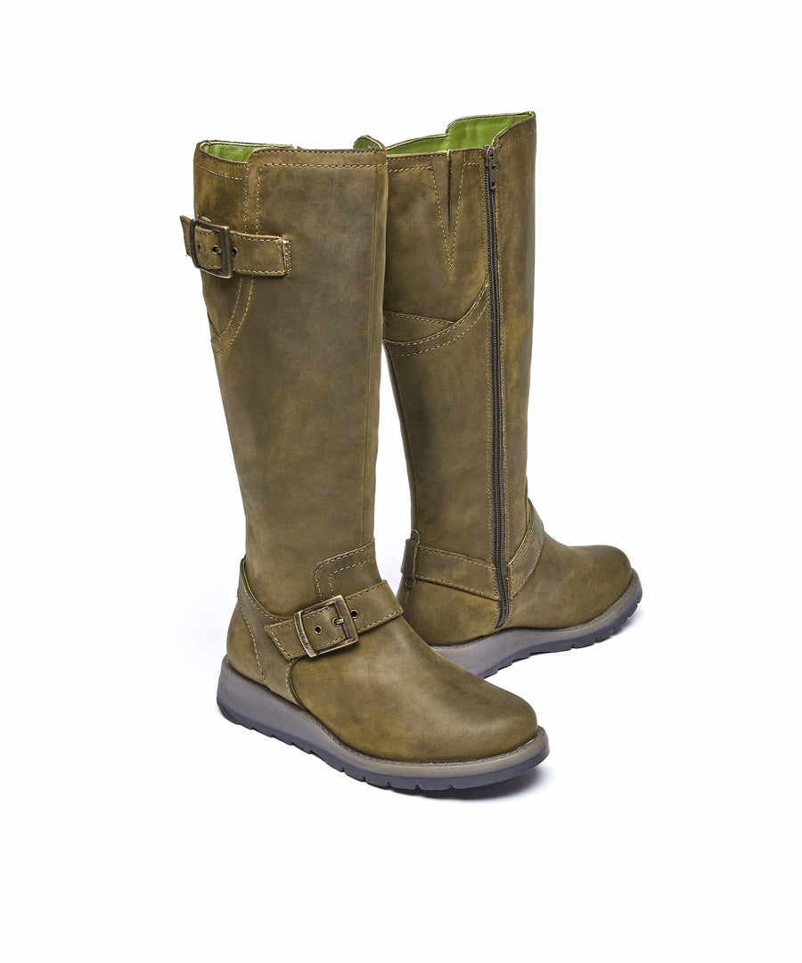 STARGAZER OLIVE GREEN