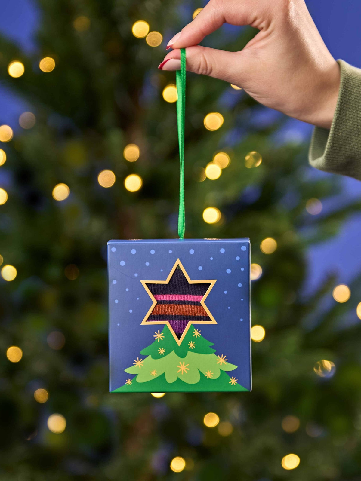 Multi CHRISTMAS SOCK BOX FOR HER - CHRISTMAS SOCK BOX FOR HER TREE INDIGO MULTI STRIPE