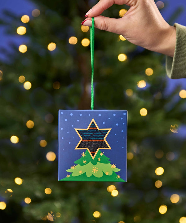 CHRISTMAS SOCK BOX FOR HIM TREE TERRACOTTA STRIPE