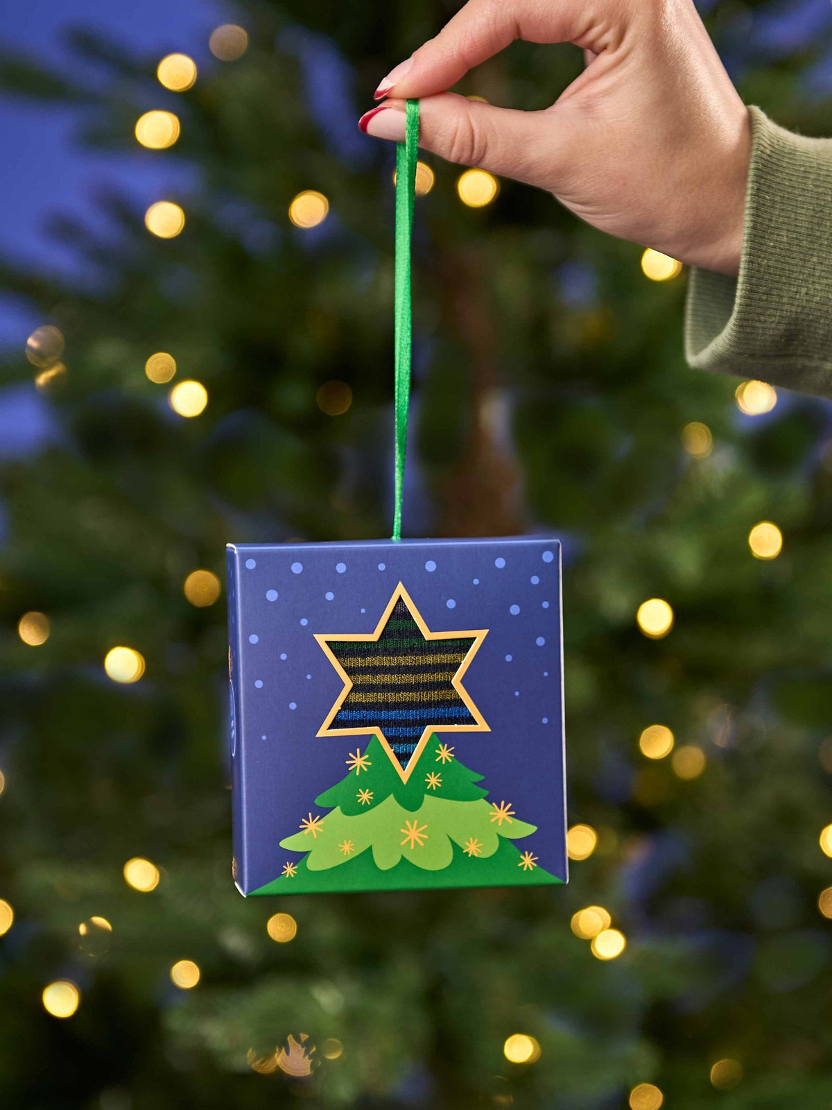 Multi CHRISTMAS SOCK BOX FOR HIM - CHRISTMAS SOCK BOX FOR HIM TREE NAVY MULTI STRIPE