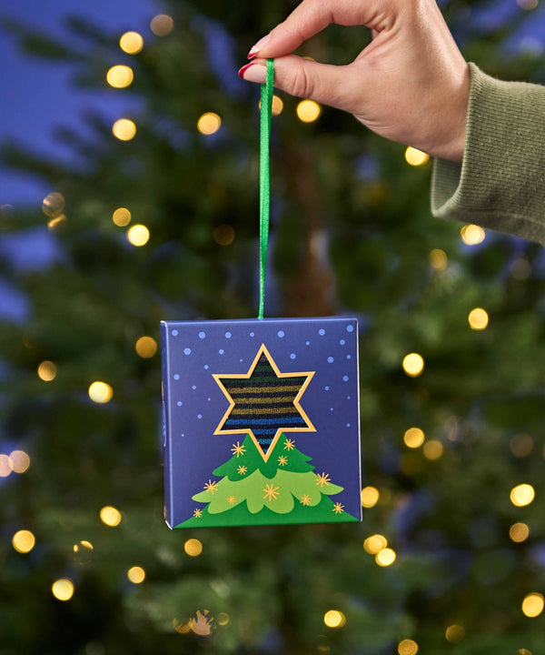 CHRISTMAS SOCK BOX FOR HIM TREE NAVY MULTI STRIPE
