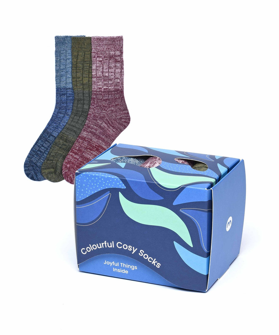 PORPOISE SOCK BOX MULTI