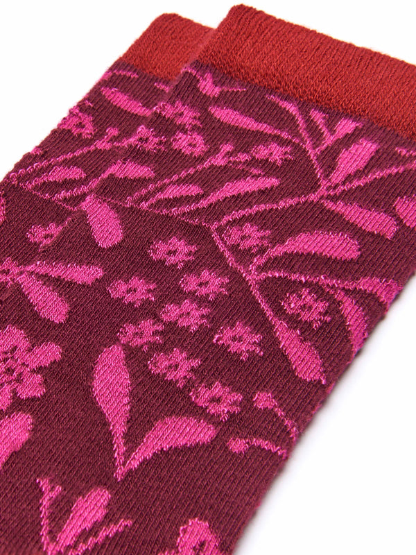 CHOUX CABERNET/FUCHSIA