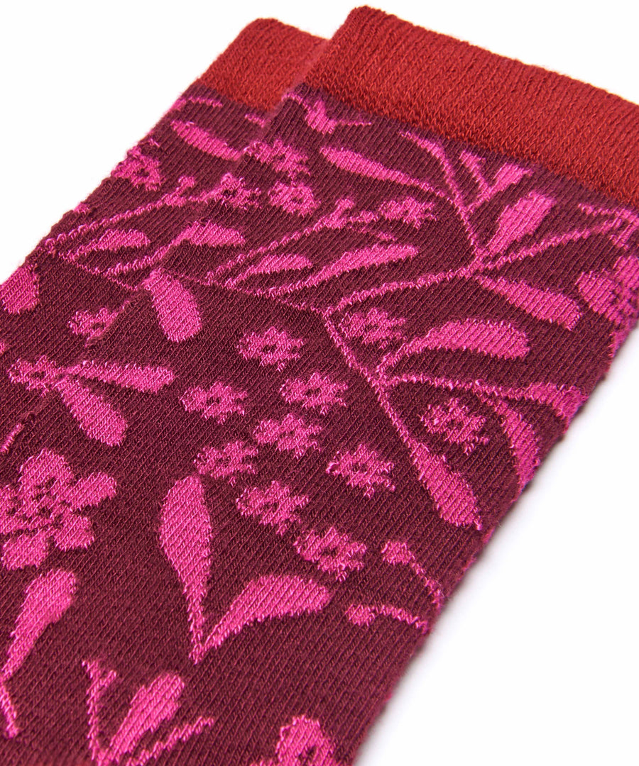 CHOUX CABERNET/FUCHSIA
