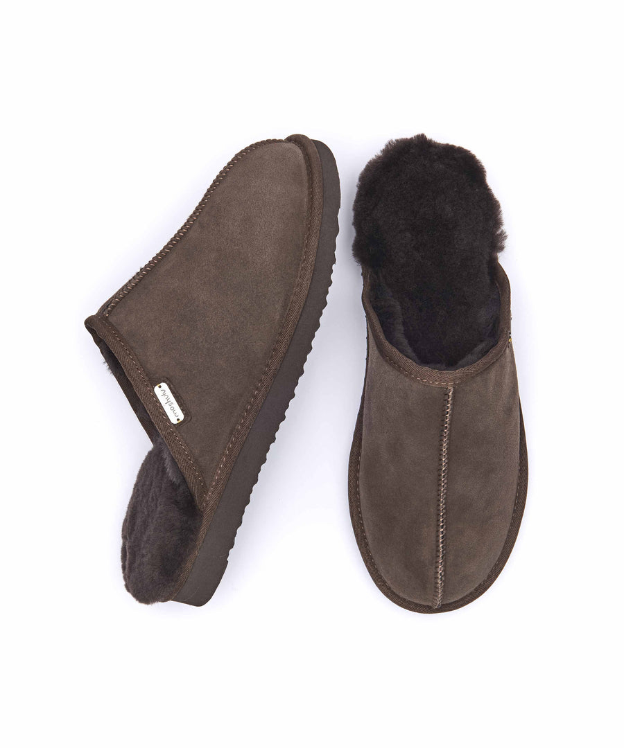 FOXTAIL BROWN