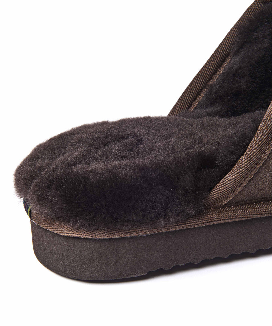 FOXTAIL BROWN