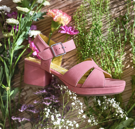 Pink sandal with a block heel on a background of flowers and plants