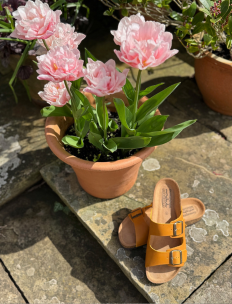 Brown cork footbed mule sandals - BAVARIA WAXY CHOCOLATE