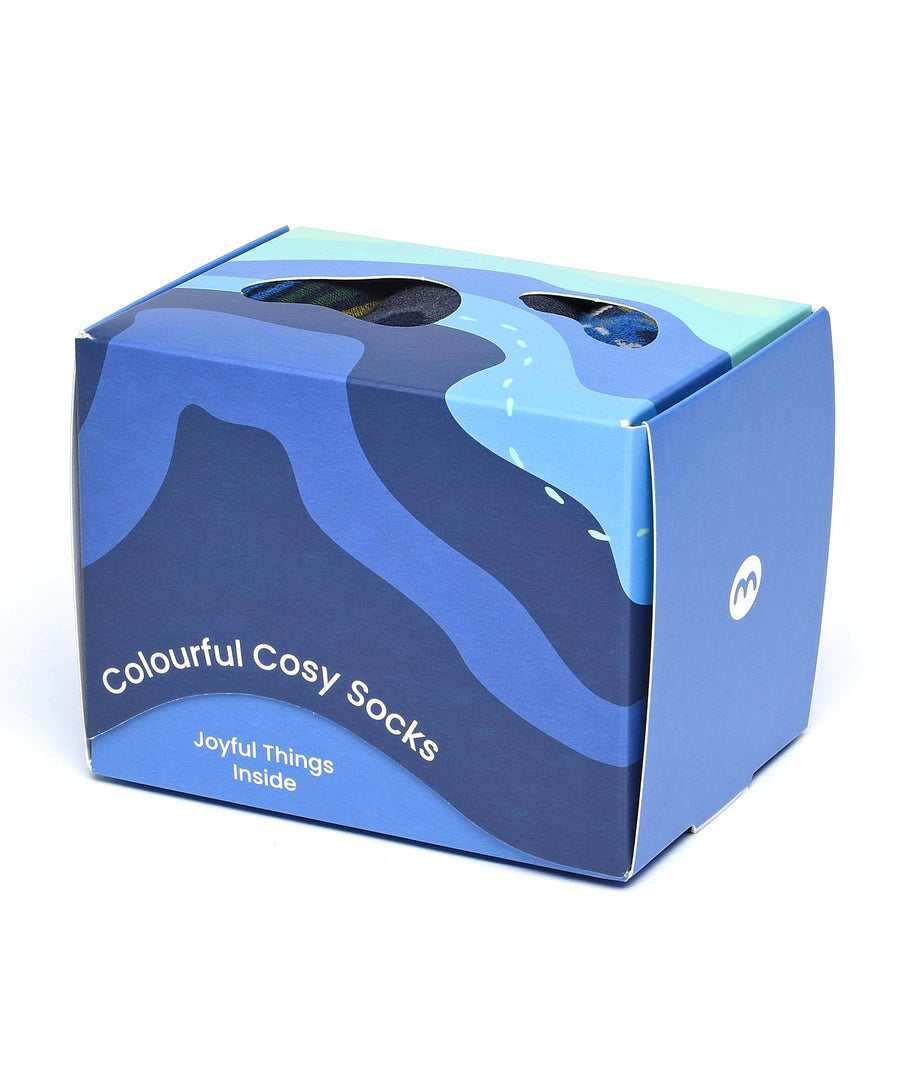 NORTHAM SOCK BOX BOLD BLUE