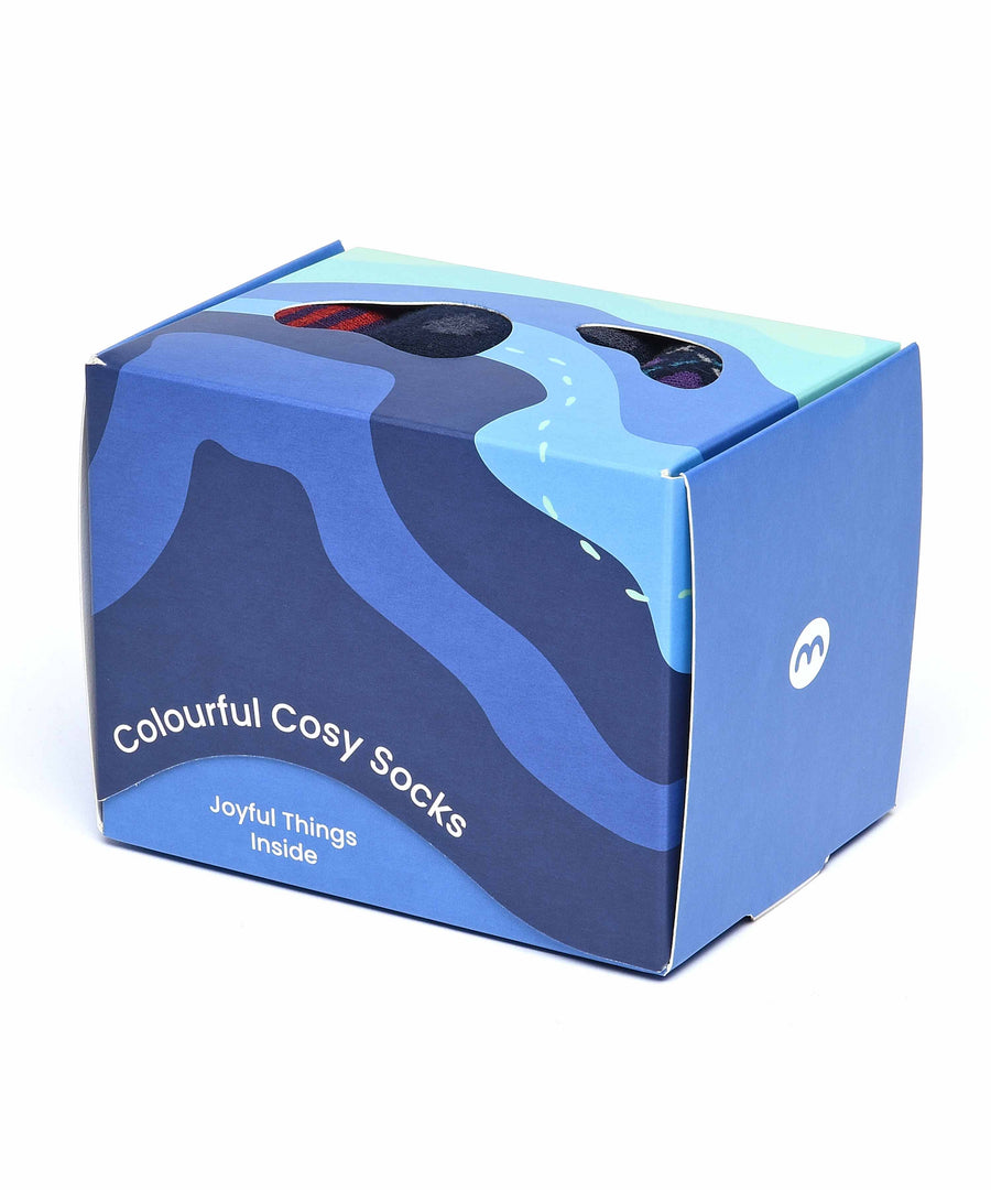 NORTHAM SOCK BOX NAVY