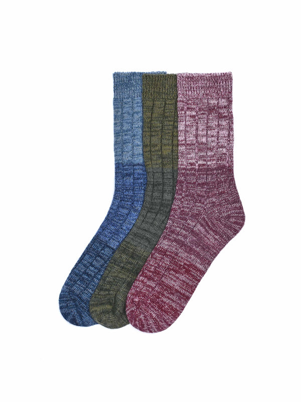 PORPOISE SOCK BOX MULTI