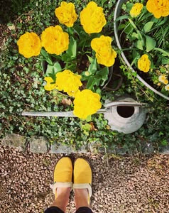 Vitoria Yellow from Yellow classic suede mule slippers