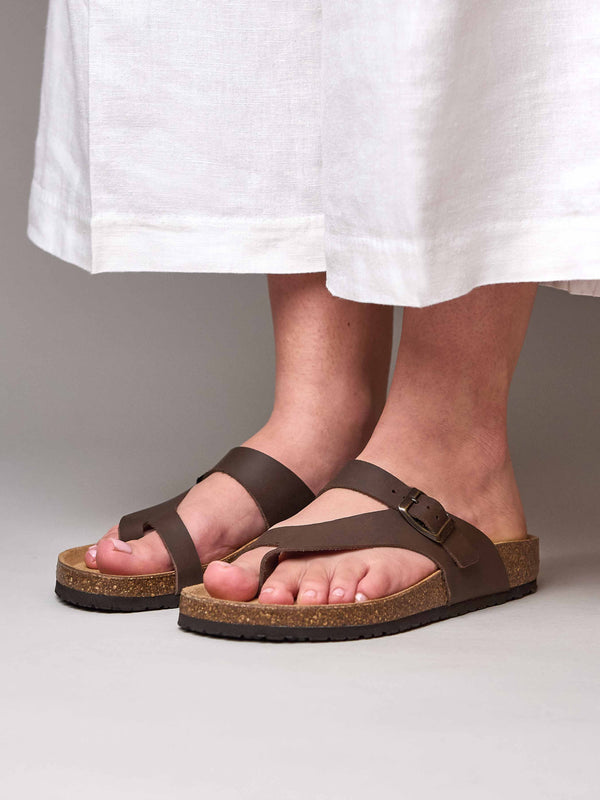 WILMA WAXY CHOCOLATE