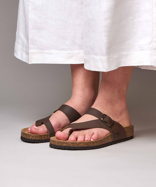 WILMA WAXY CHOCOLATE