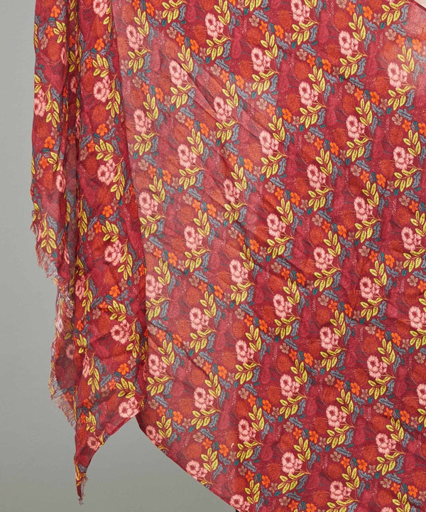 CARINA CABERNET MULTI