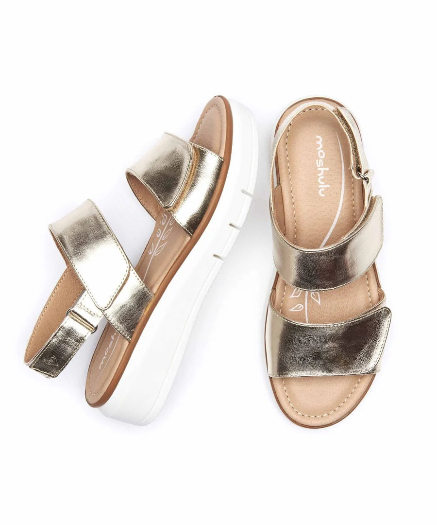 HALLSANDS GILT