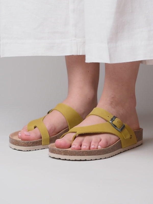 WILMA WAXY YELLOW