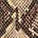 SNAKE PRINT